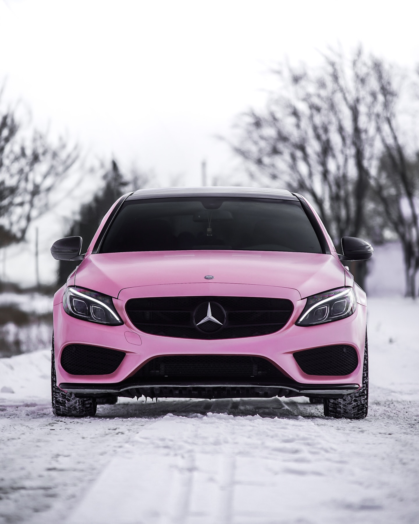 Mercedes Benz Cherry Blossom Project, Cherry Blossom Pink